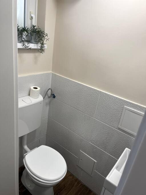 Apartment In ماريبور المظهر الخارجي الصورة